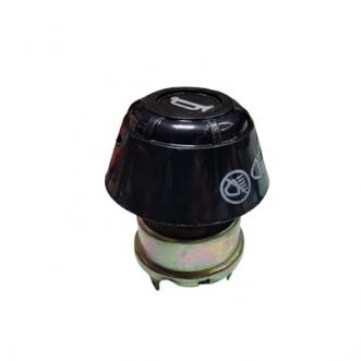 Light and Horn Switch Massey