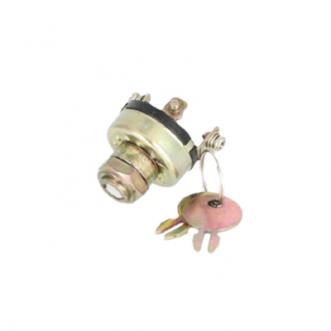 Ignition Switch With 2 Keys